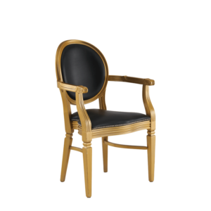 Medallion armchair with wooden frame in gold