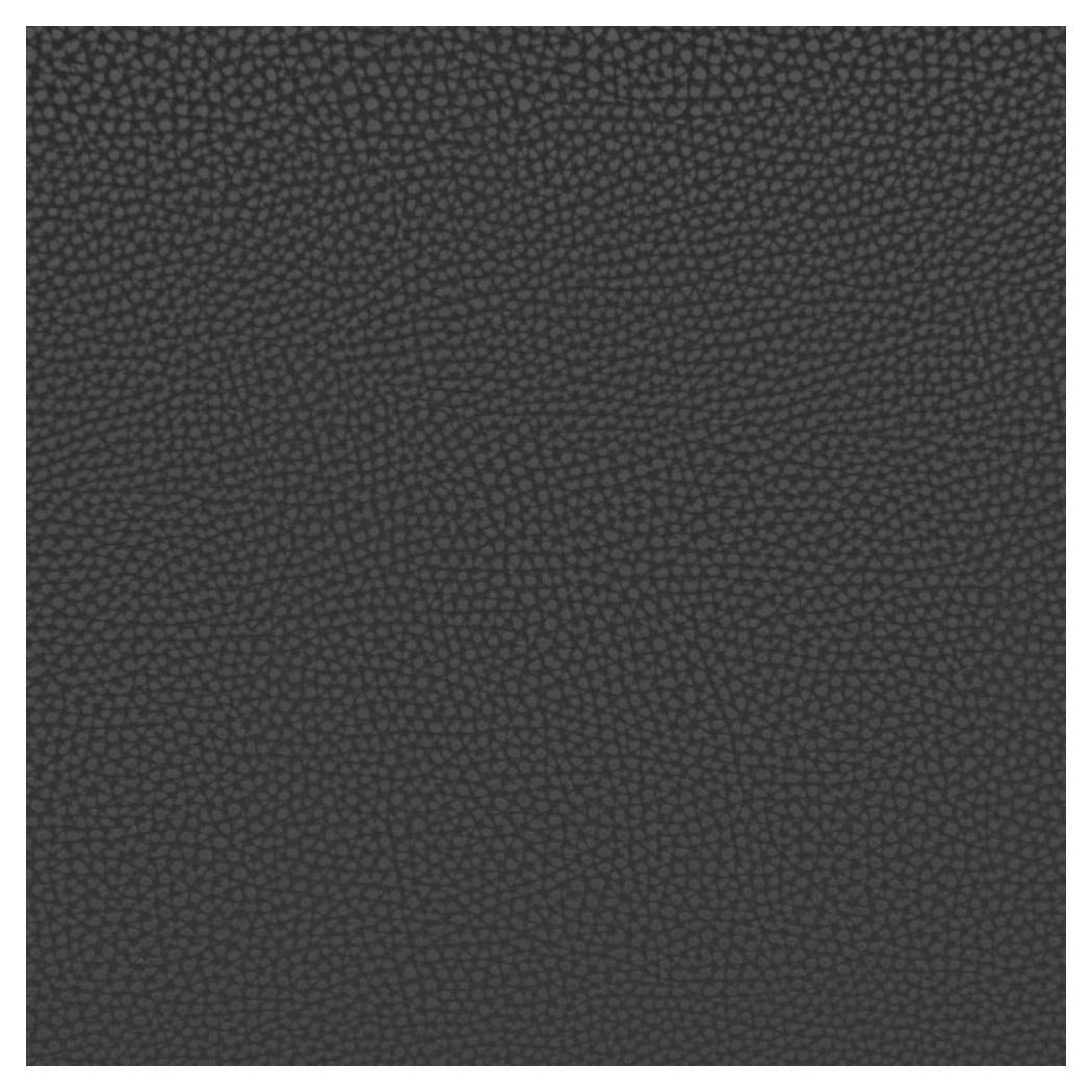 Bar stool CARRA padded