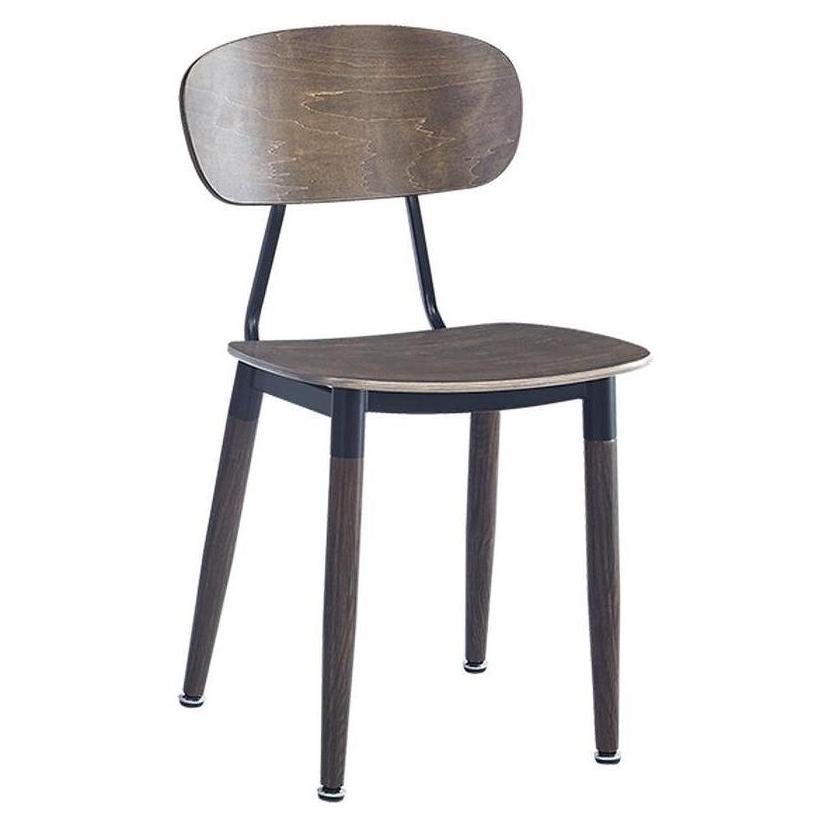 Steel chair with light walnut wood finish and veneered seat and backrest