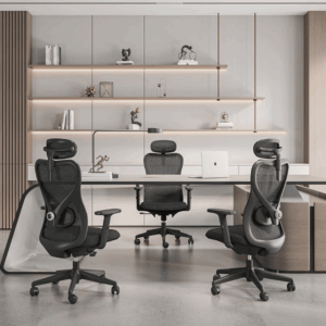 Ergonomic Shizuoka-M Mid-Back Office Chair