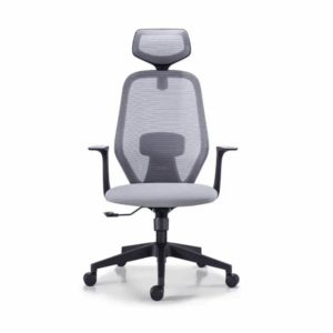 Ergonomic Ylvie High Back Office Chair